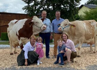Ybbser Michviehbetrieb holt Gold für Erdbeer-Joghurt