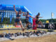 Gemeinsam stärker beim Spartan Race in St. Pölten