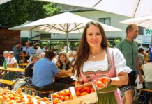 Poysdorf feiert Kirtag mit Marille und Wein
