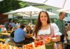 Poysdorf feiert Kirtag mit Marille und Wein