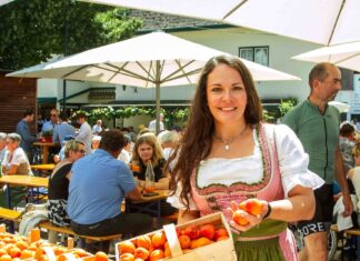 Poysdorf feiert Kirtag mit Marille und Wein