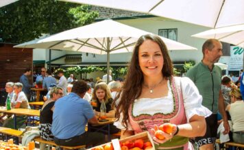 Poysdorf feiert Kirtag mit Marille und Wein