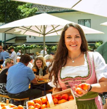 Poysdorf feiert Kirtag mit Marille und Wein