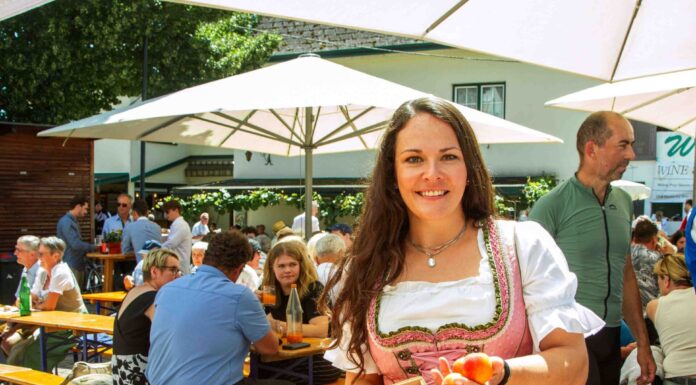 Poysdorf feiert Kirtag mit Marille und Wein
