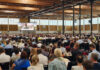 68 Zeugen Jehovas in Amstetten laden zum Kongress „Ewiges Glück“