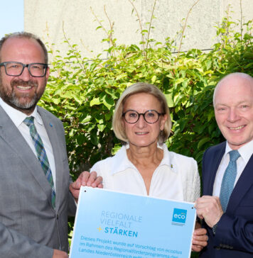 Regionalförderung: 34 Millionen Euro für NÖ-Regionen