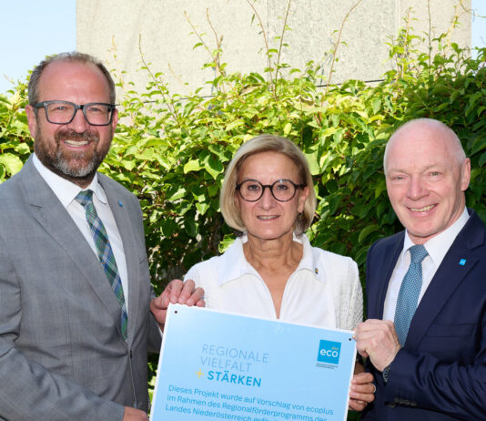 Regionalförderung: 34 Millionen Euro für NÖ-Regionen