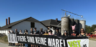 Mahnwache für verhungerte Schweine in Amstetten
