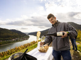53 Tage Weinherbst: Spitz feiert noch bis Ende Oktober