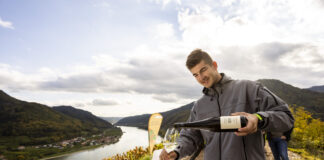 53 Tage Weinherbst: Spitz feiert noch bis Ende Oktober