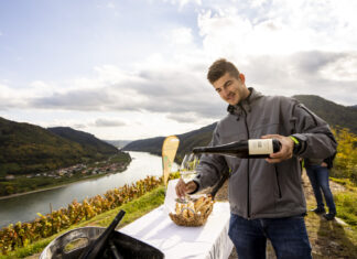53 Tage Weinherbst: Spitz feiert noch bis Ende Oktober