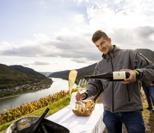 53 Tage Weinherbst: Spitz feiert noch bis Ende Oktober