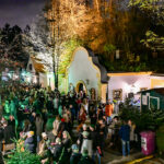 Genuss trifft Tradition beim Kellergassenfest in St. Pölten