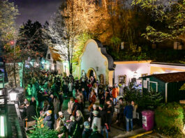 Genuss trifft Tradition beim Kellergassenfest in St. Pölten