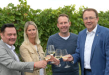 Neuer Hauptstadtwein kommt aus dem Traisental