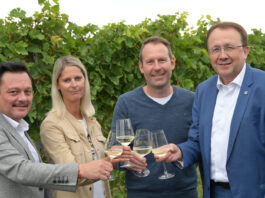 Neuer Hauptstadtwein kommt aus dem Traisental