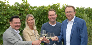 Neuer Hauptstadtwein kommt aus dem Traisental