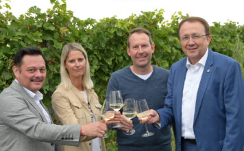 Neuer Hauptstadtwein kommt aus dem Traisental