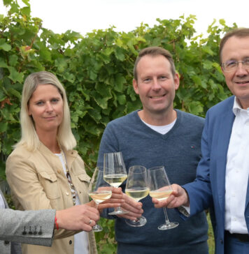 Neuer Hauptstadtwein kommt aus dem Traisental