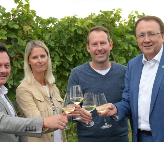 Neuer Hauptstadtwein kommt aus dem Traisental