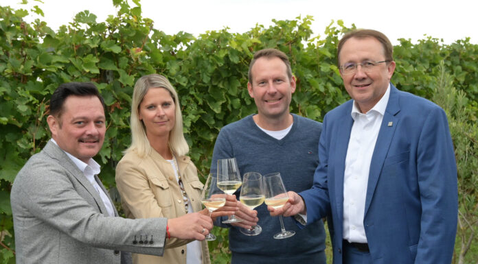 Neuer Hauptstadtwein kommt aus dem Traisental